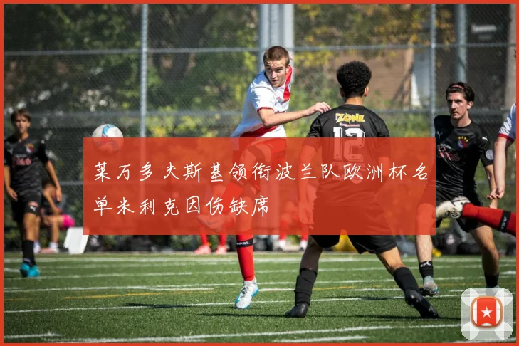 莱万多夫斯基领衔波兰队欧洲杯名单米利克因伤缺席
