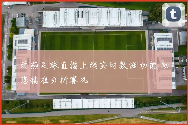 雨燕足球直播上线实时数据功能 助您精准分析赛况